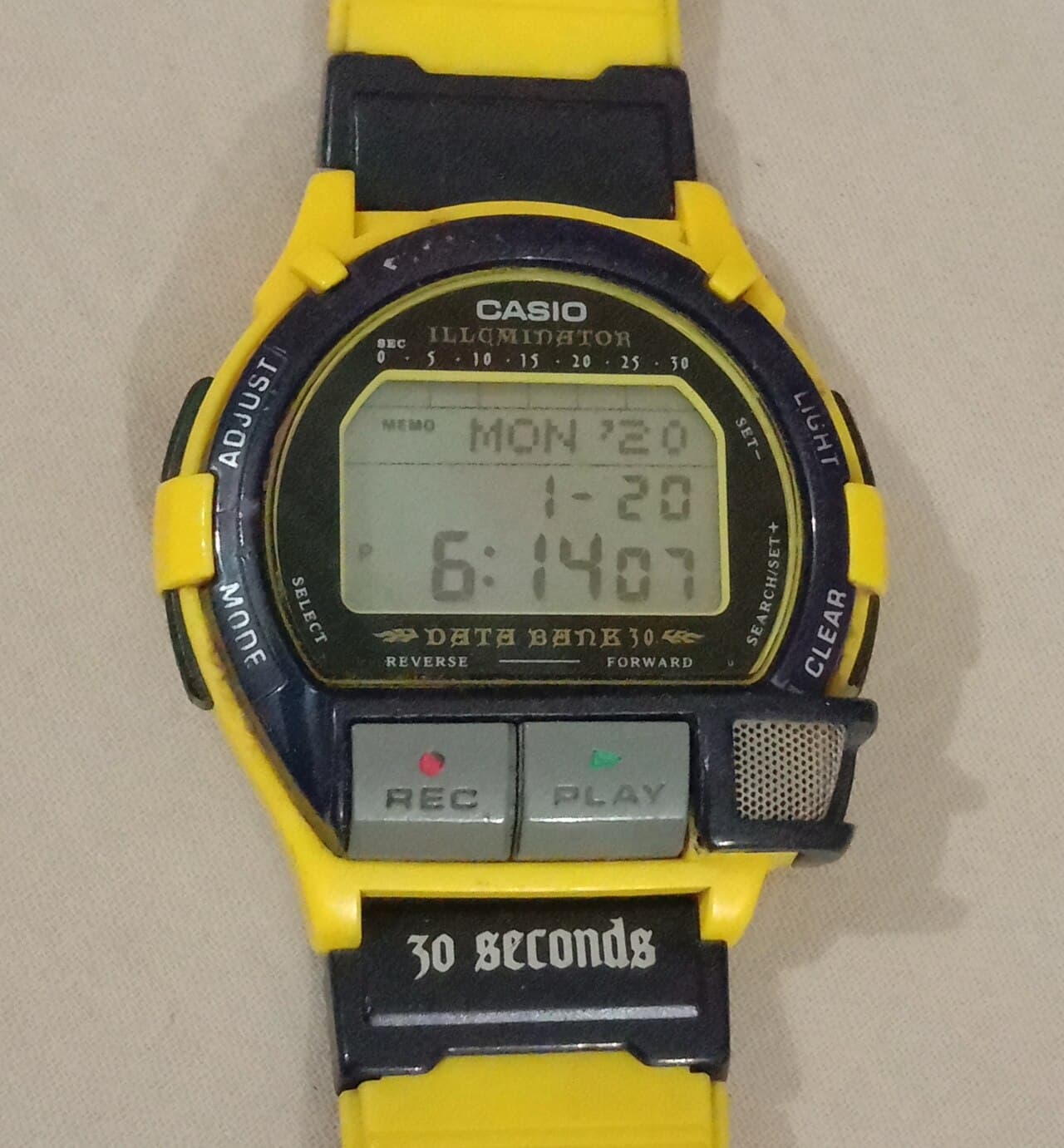 Casio Data Bank DBV-30 (Sampling Mania) 