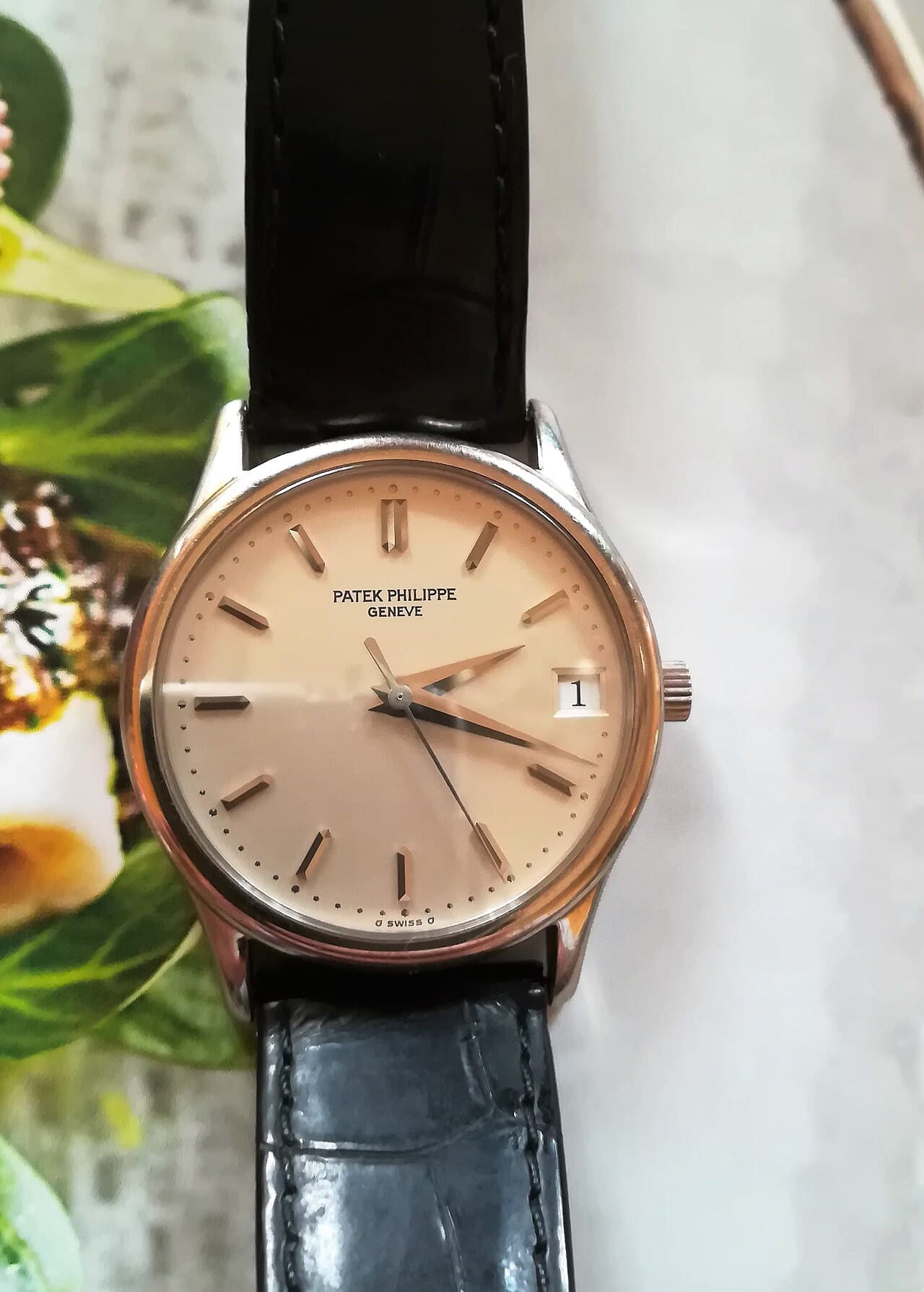 Patek Philippe Calatrava (date, salmon dial) 